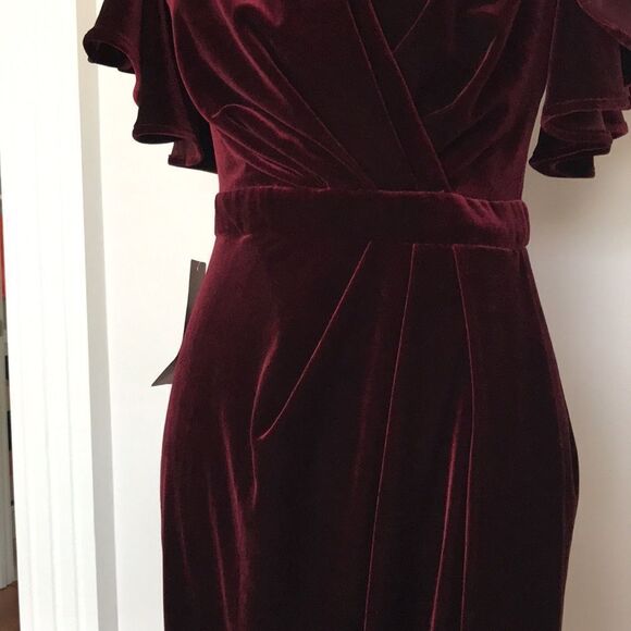 BHLDN Dover  Velvet Dress size 4 - Picture 10 of 16